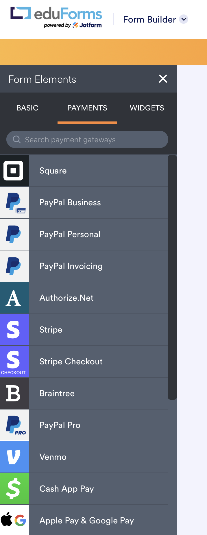 Form-element-payment.png